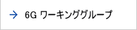 6Gワーキンググループ